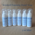 Scented Foaming Hand Soaps