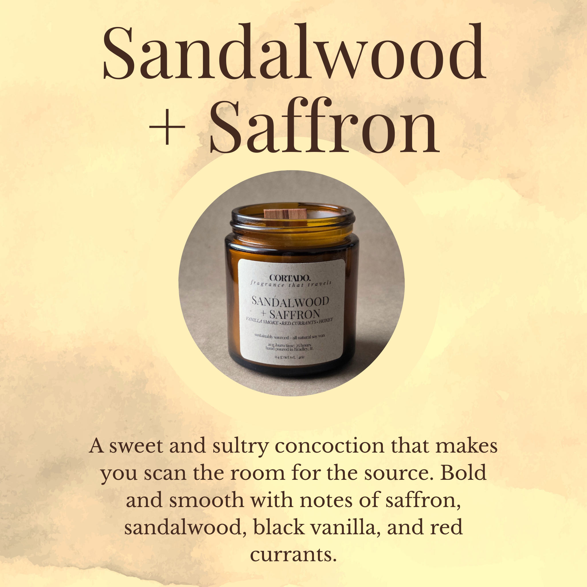 The Complete Love Bug Collection